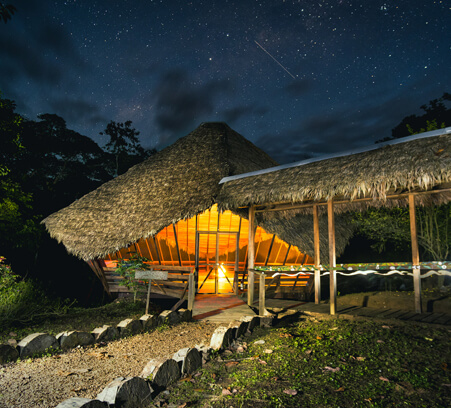 ayahuasca-healing-retreat