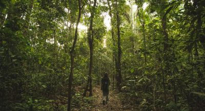 Rainforest Adventure Road Trip